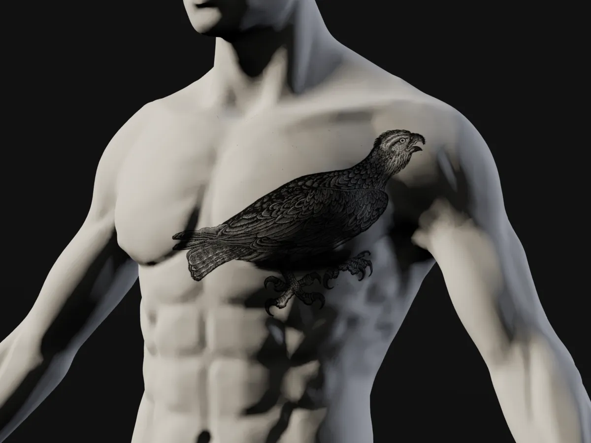 A 30 cm eagle woodcut on the chest of a plaster cast, seen from the front